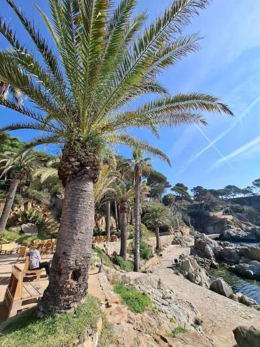 Apartamento Loft, Lloret De Mar Exterior foto